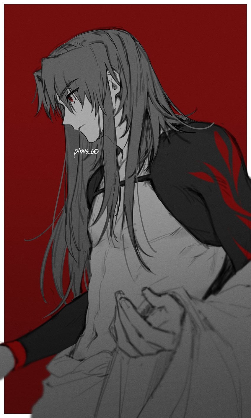 zheng chenggong (fate and 1 more) drawn by pinus_00