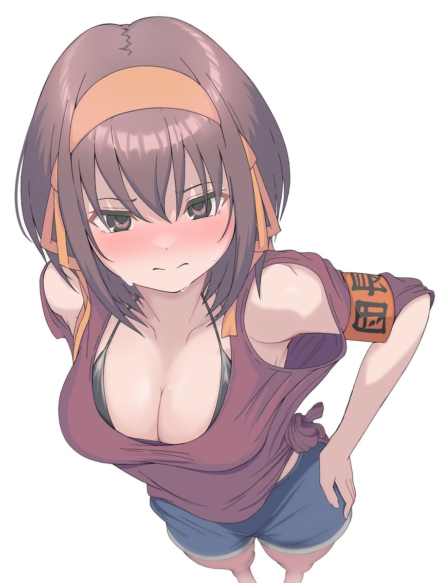 suzumiya haruhi (suzumiya haruhi no yuuutsu) drawn by rai_iceblast