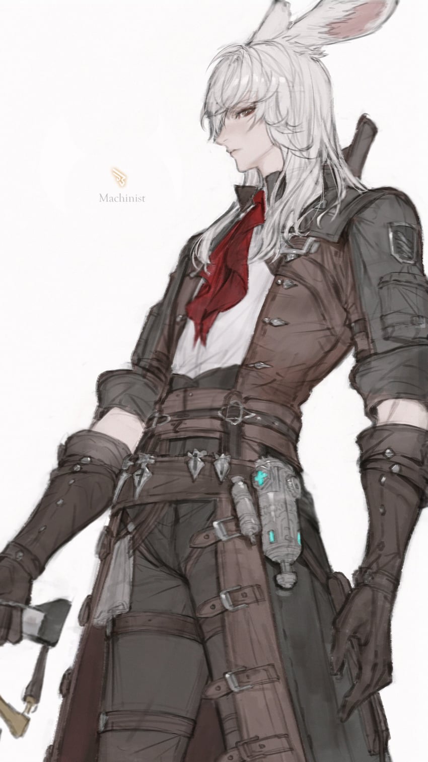 warrior of light and machinist (final fantasy and 1 more) drawn by tladpwl03