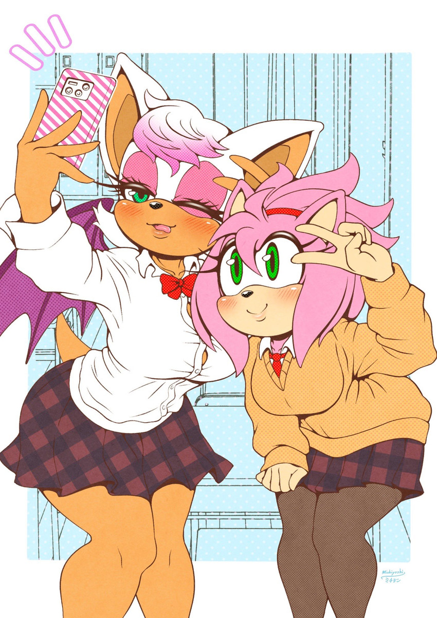 amy rose and rouge the bat (sonic) drawn by michiyoshi