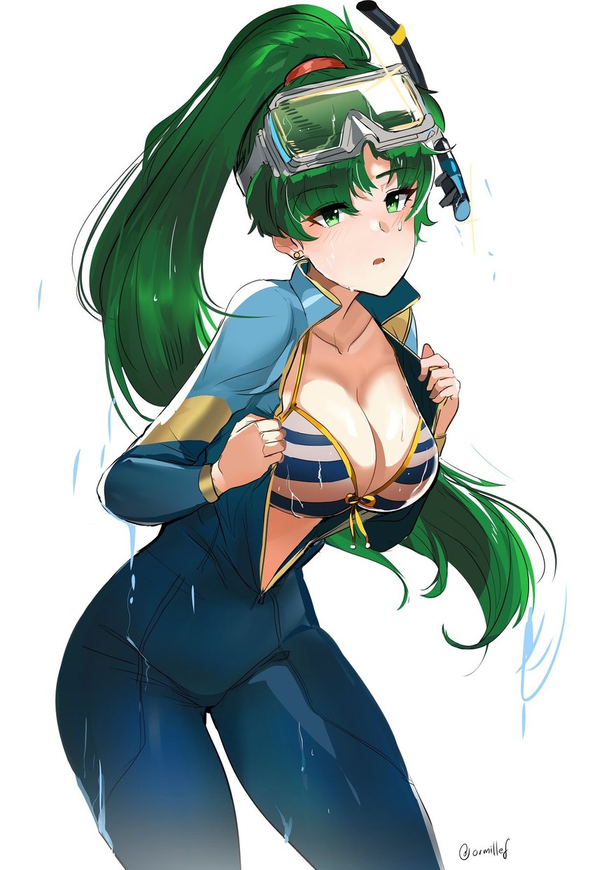 lyn (fire emblem and 1 more) drawn by ormille