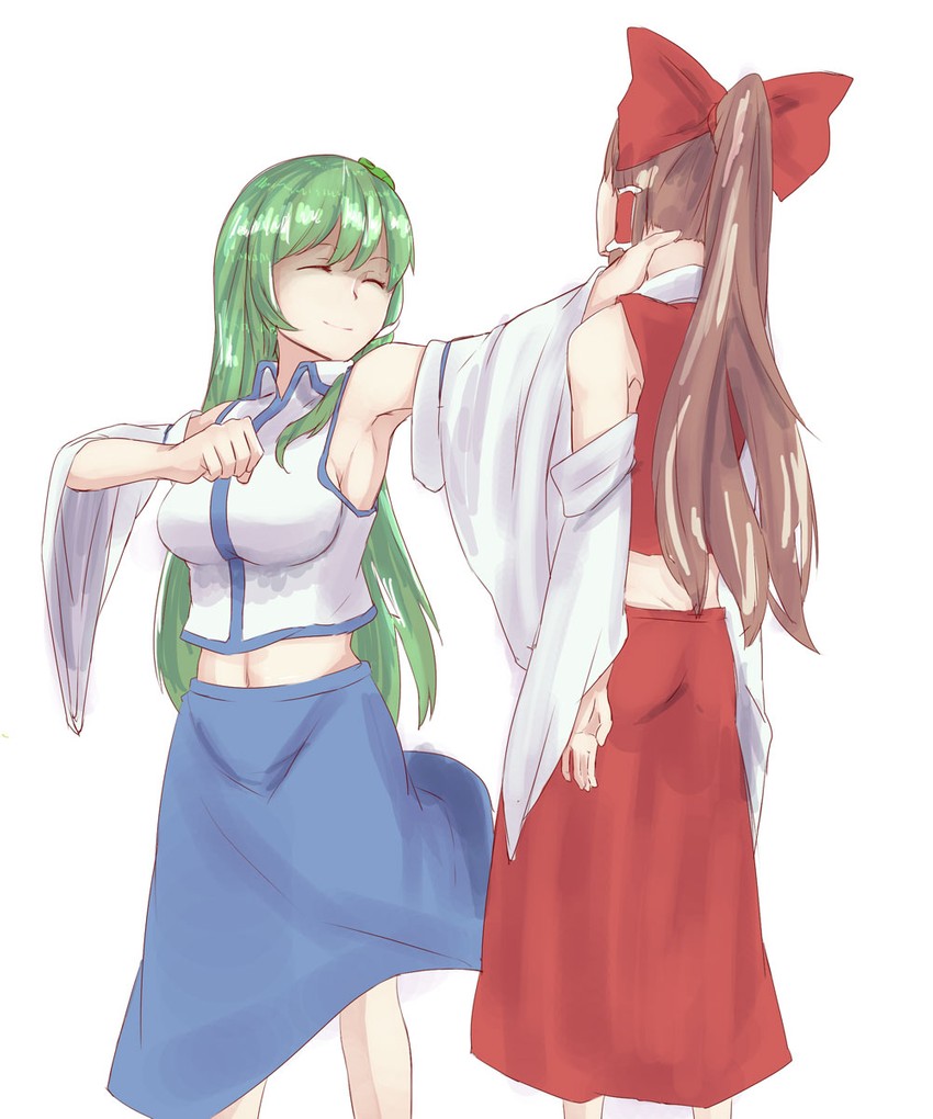 hakurei reimu and kochiya sanae (touhou) drawn by kanaria_(bcomn)