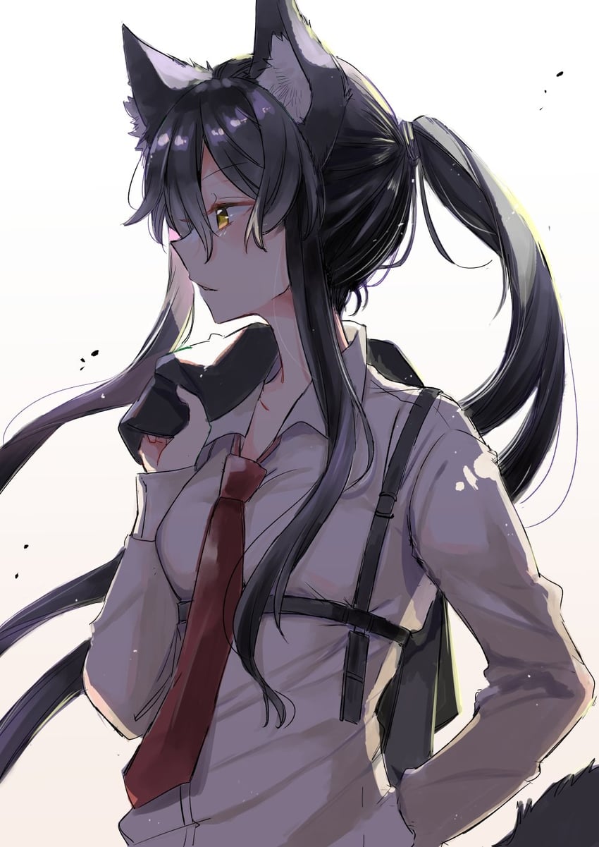 rikujo aki (ookami no kawa o kabutta hitsujihime) drawn by mito_(go!go!king!)