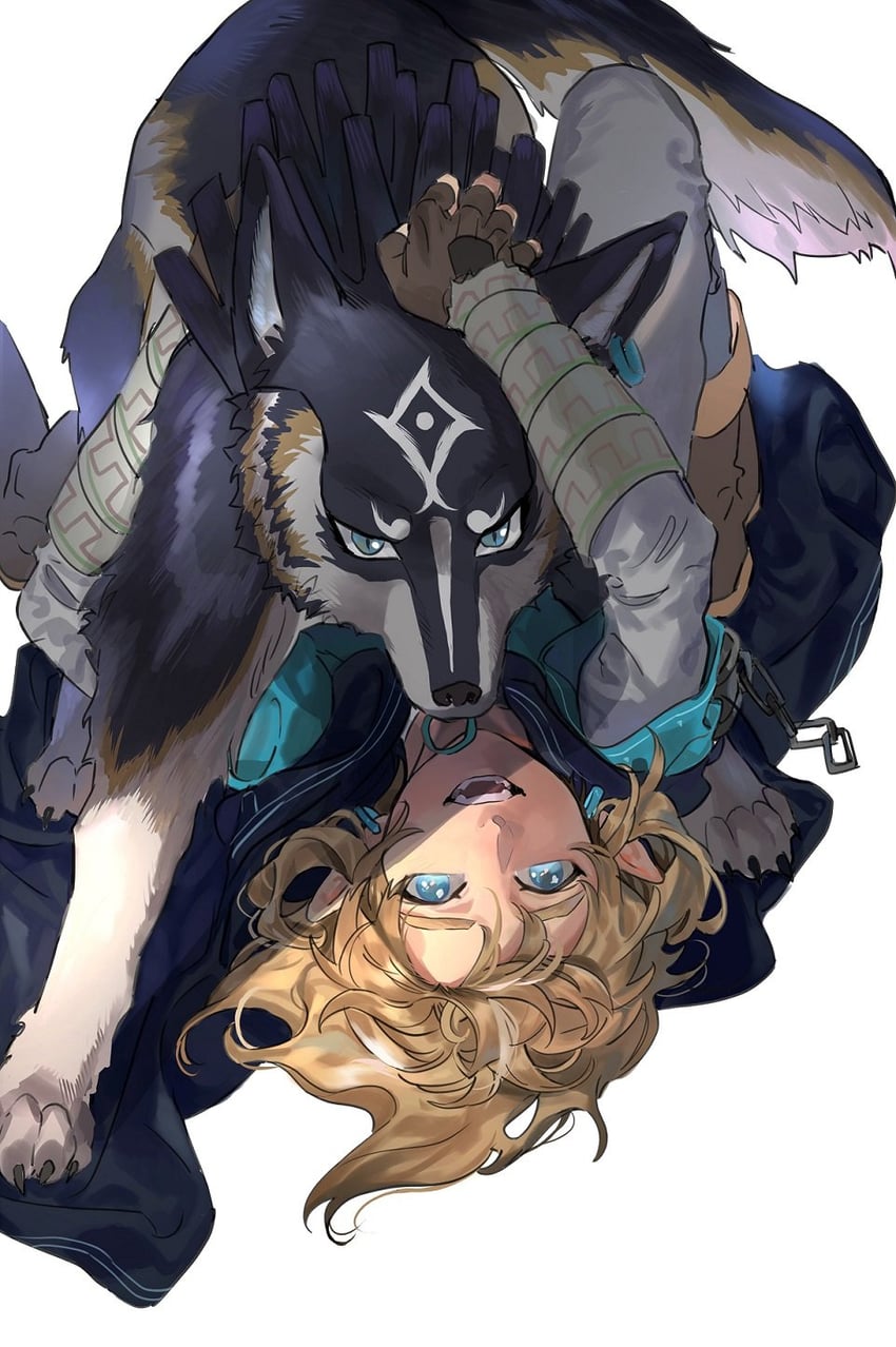 link and wolf link (the legend of zelda and 2 more) drawn by gyou_chin