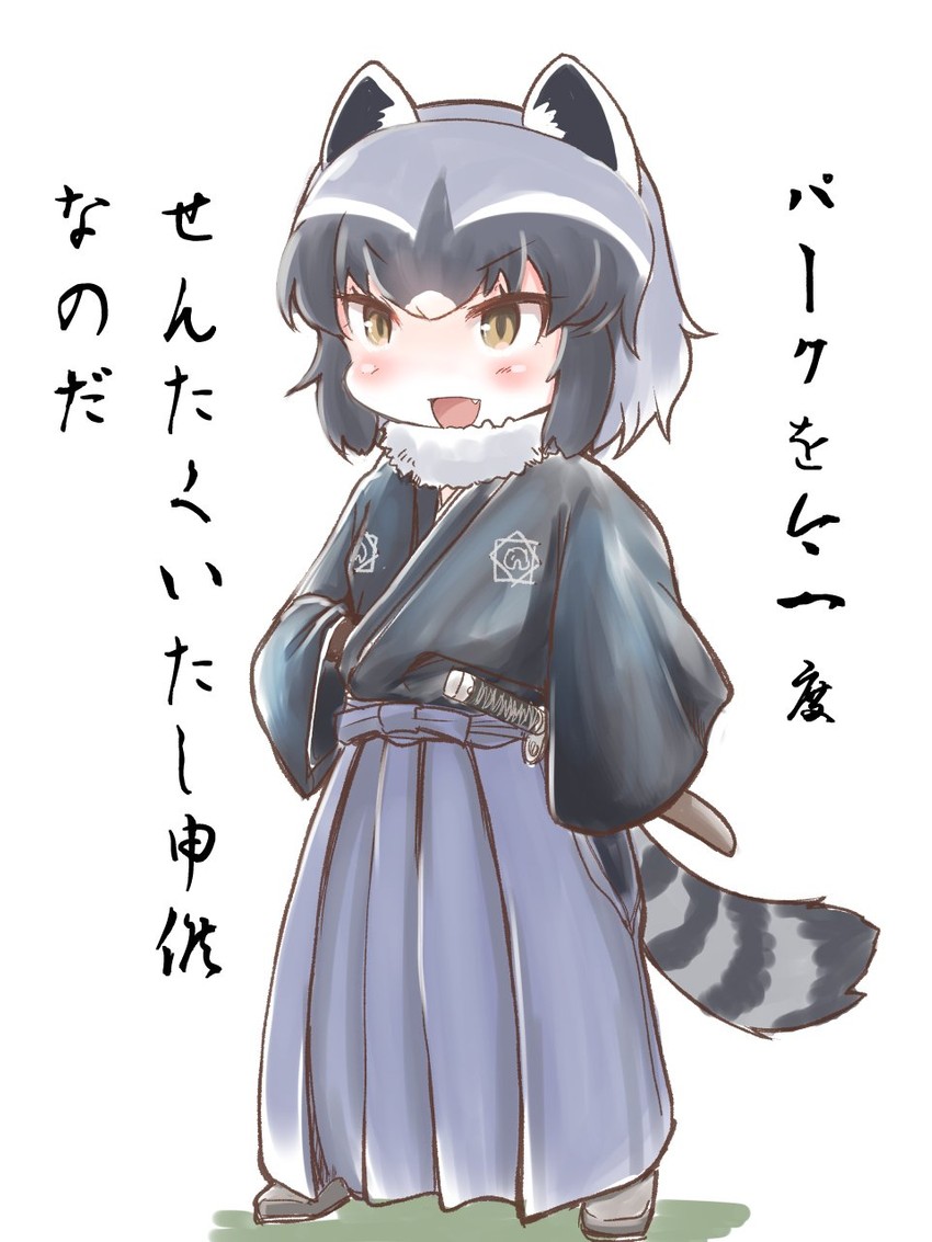 common raccoon and sakamoto ryouma (kemono friends) drawn by nenkou-san