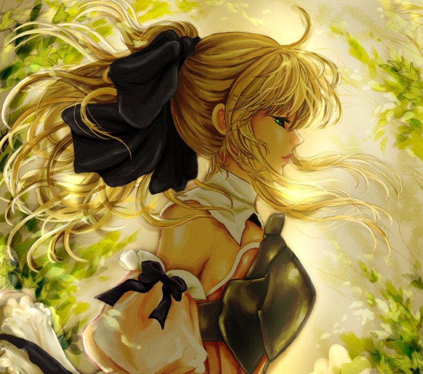artoria pendragon and saber lily (fate and 1 more) drawn by manbosakuranbo