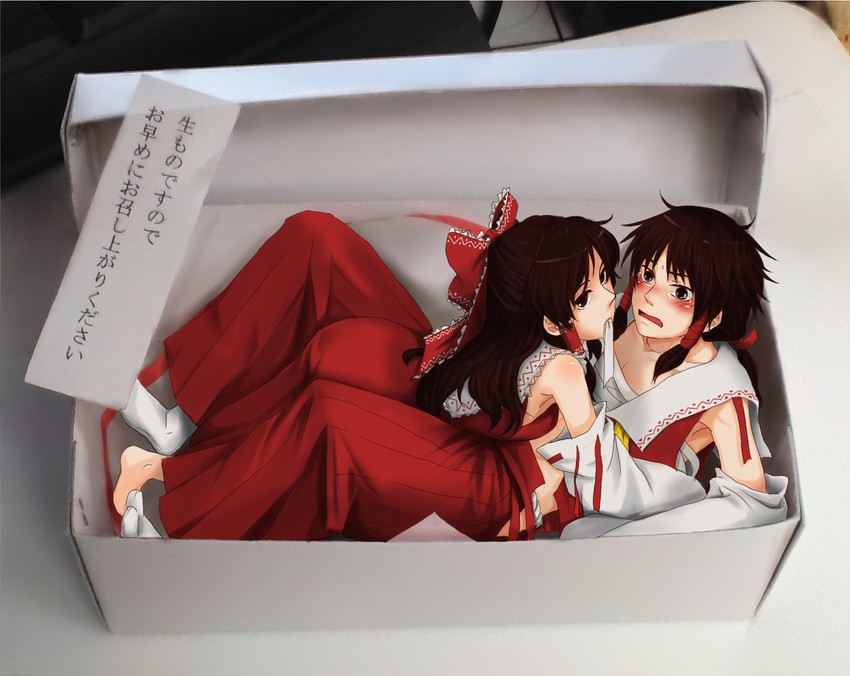 hakurei reimu (touhou) drawn by ameya_nihachi