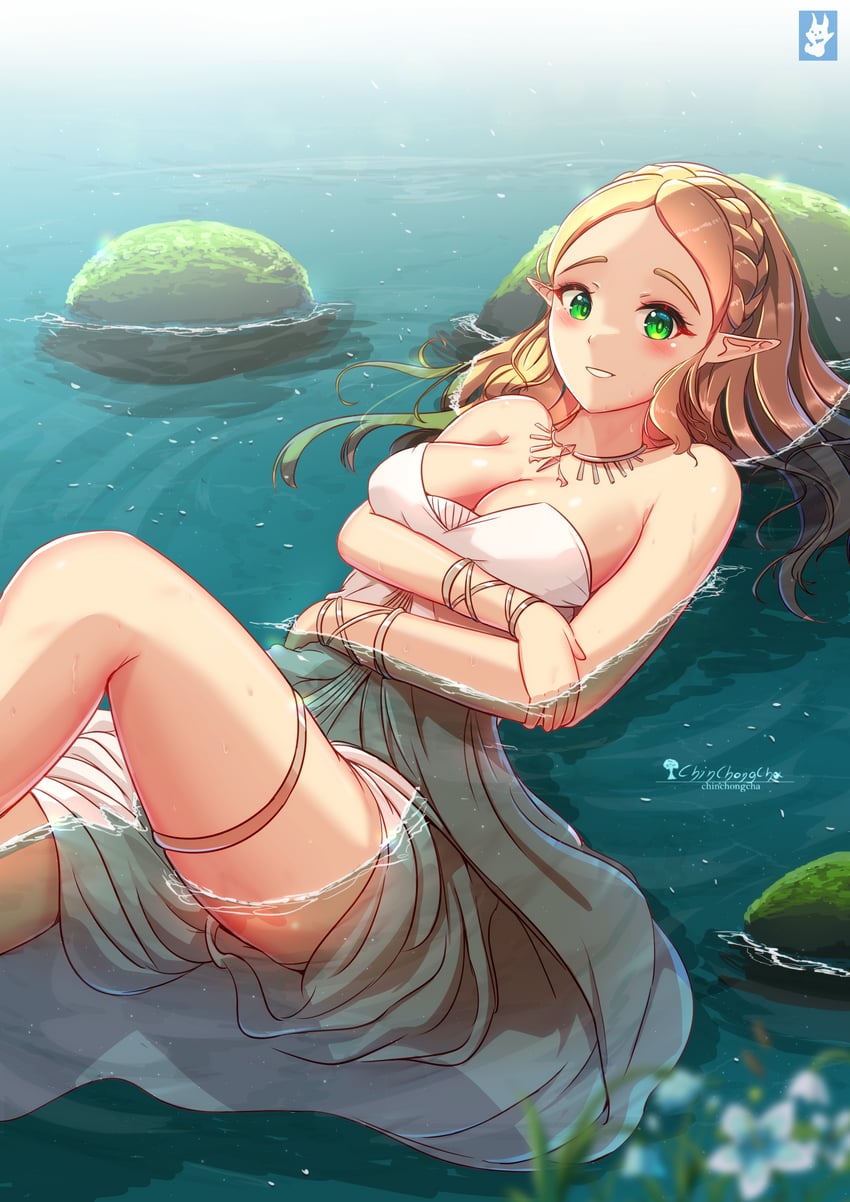 princess zelda (the legend of zelda and 1 more) drawn by chinchongcha