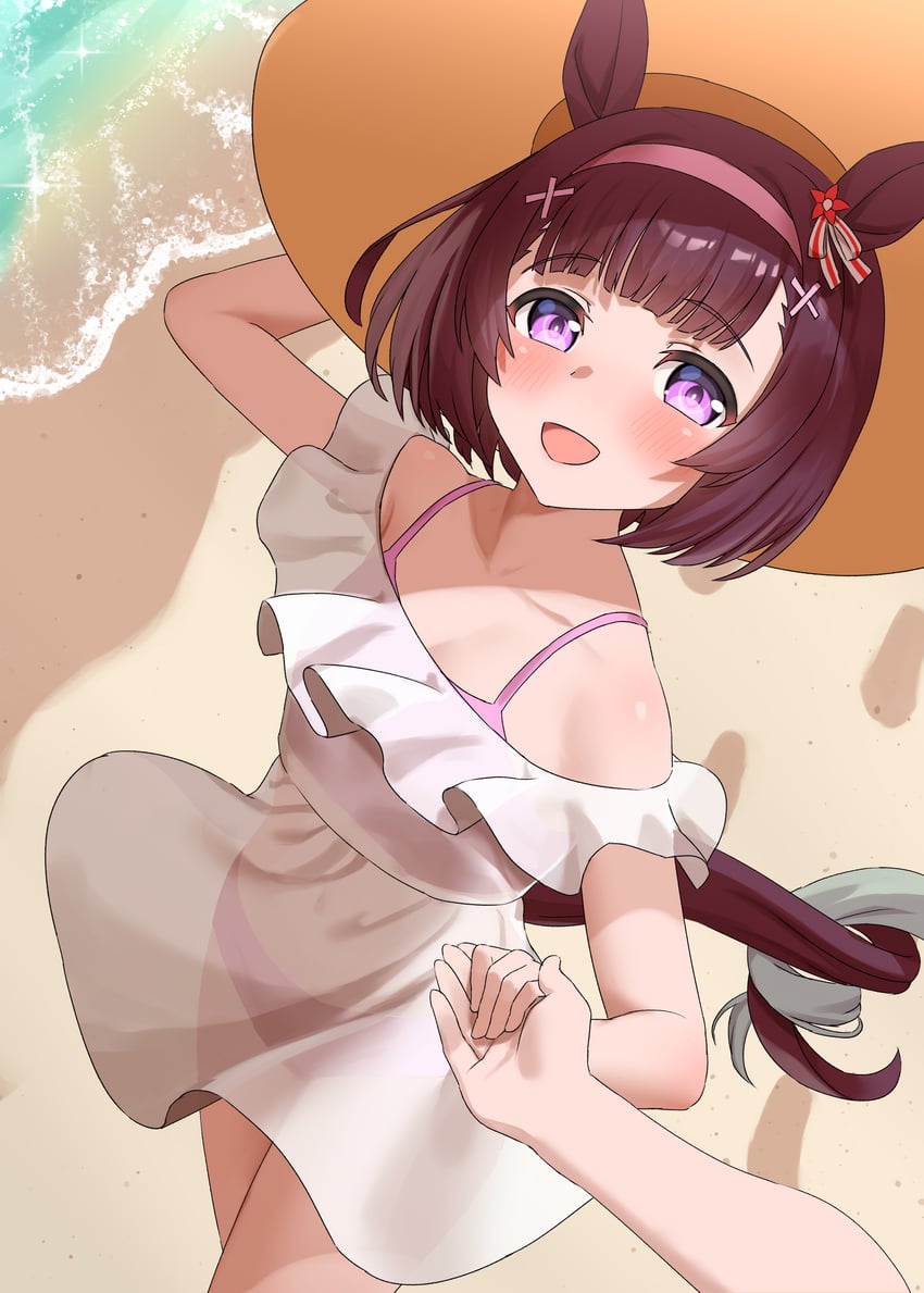 seiun sky and nishino flower (umamusume) drawn by factory314