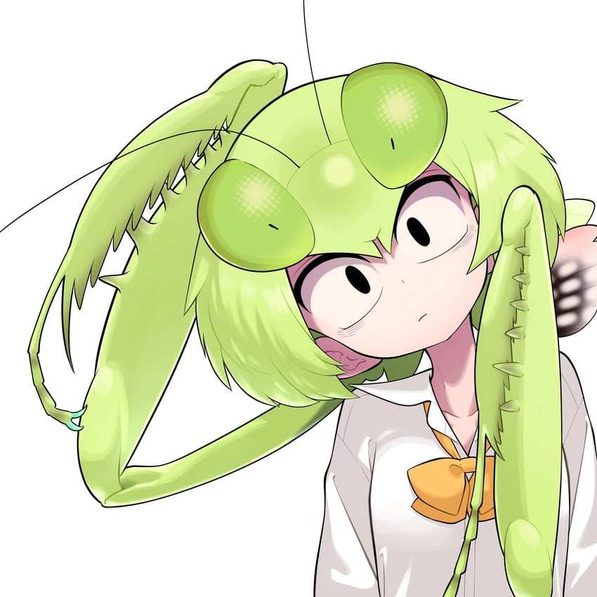 mantis akiyama (original and 1 more) drawn by evolvingmonkey