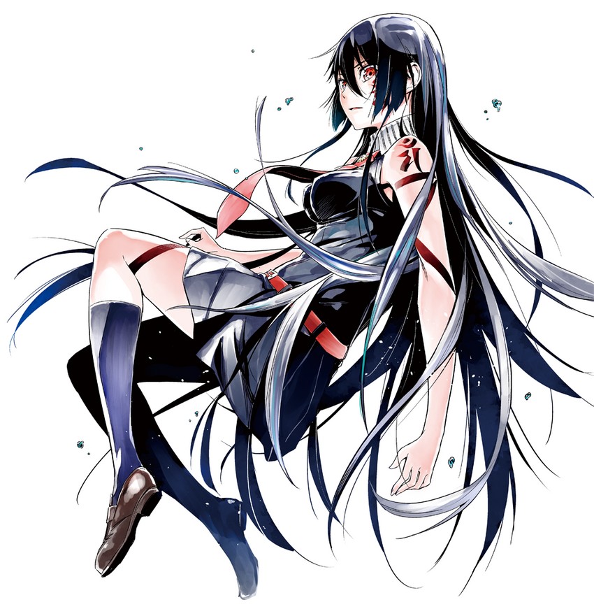 akame (akame ga kill! and 1 more) drawn by strelka_(hh_strelka)