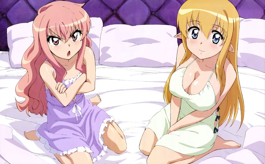 louise francoise le blanc de la valliere and tiffania westwood (zero no tsukaima) drawn by fujii_masahiro