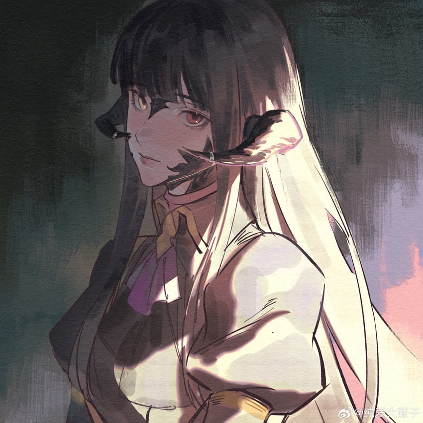warrior of light (final fantasy and 1 more) drawn by zai_li_flag_jiuyao_si_le
