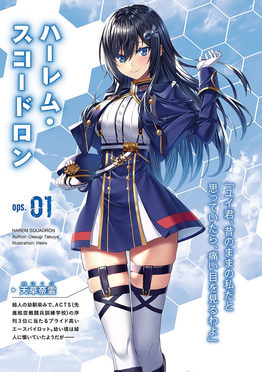harem squadron drawn by heirou
