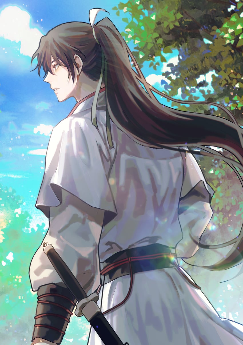 cheongmyeong (return of the mount hua sect) drawn by 100arnldudnj