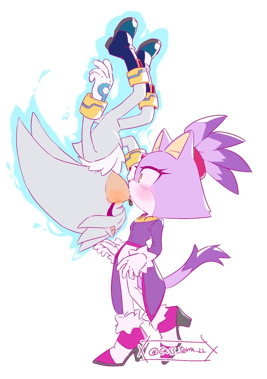 blaze the cat and silver the hedgehog (sonic) drawn by cass_terra_22