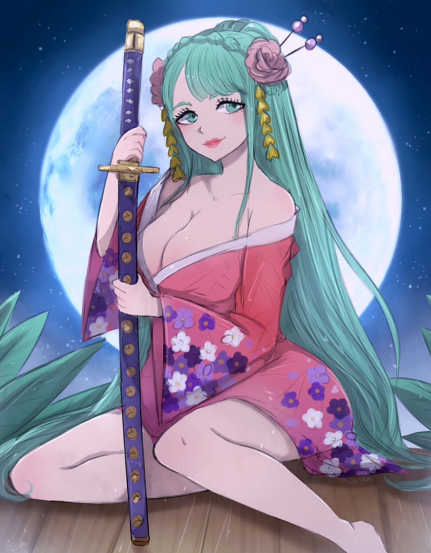 kouzuki hiyori (one piece) drawn by omiza_somi