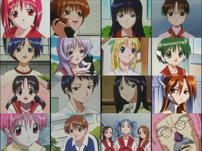 kurusugawa ayaka, hoshina tomoko, multi, serio, kamigishi akari, and 11 more (to heart)