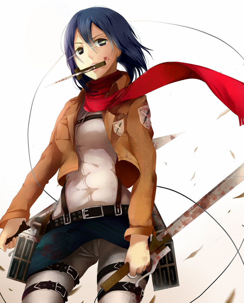 mikasa ackerman (shingeki no kyojin) drawn by norari_kuno