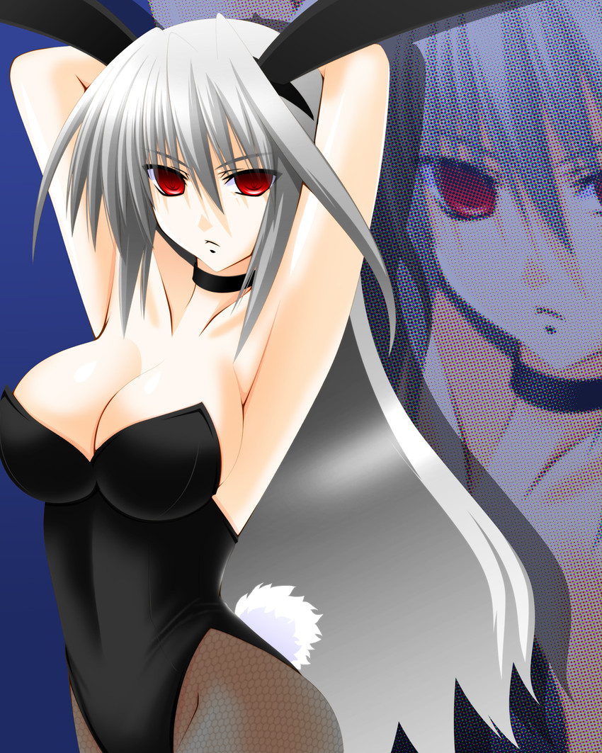 reinforce (lyrical nanoha and 2 more) drawn by engo_(aquawatery)