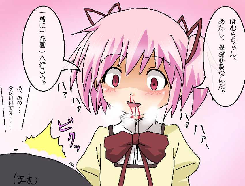 akemi homura and kaname madoka (mahou shoujo madoka magica) drawn by hayashiya_zankurou