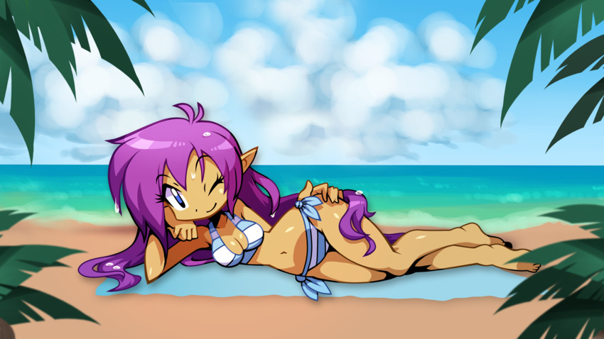 shantae (shantae and 1 more) drawn by yabe_makoto