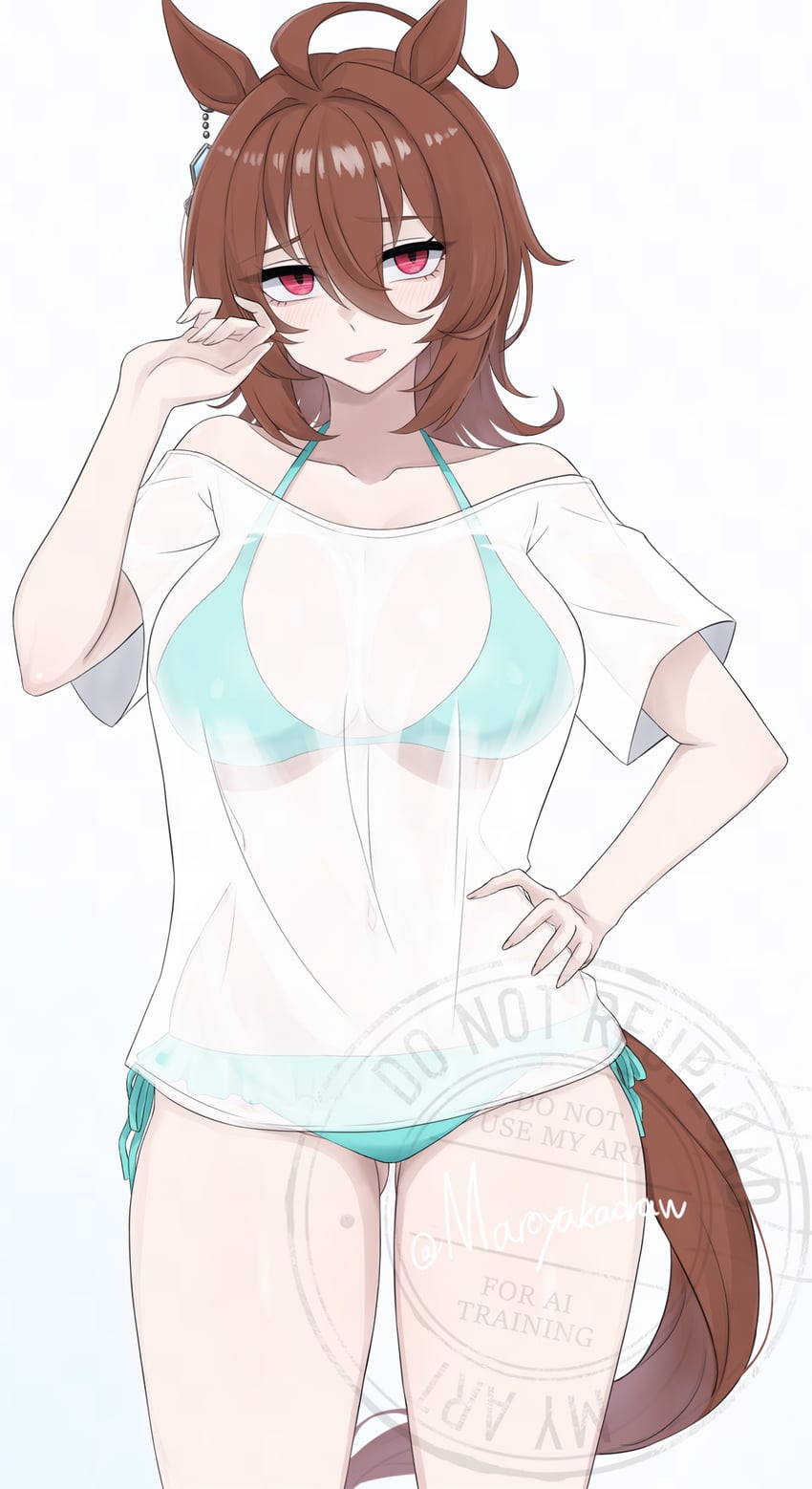 agnes tachyon (umamusume and 1 more) drawn by ibuki_grunt