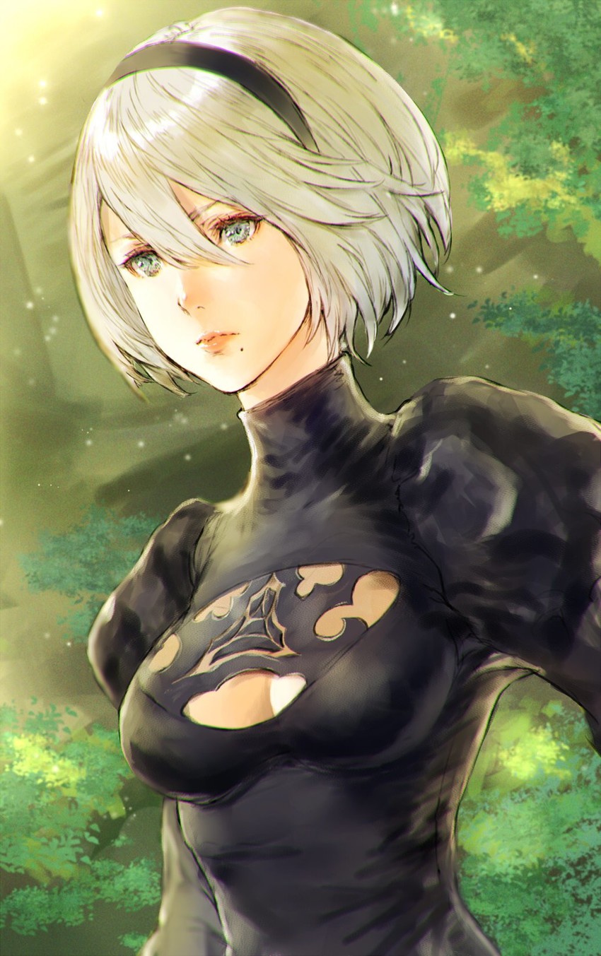2b (nier and 1 more) drawn by makimura_shunsuke