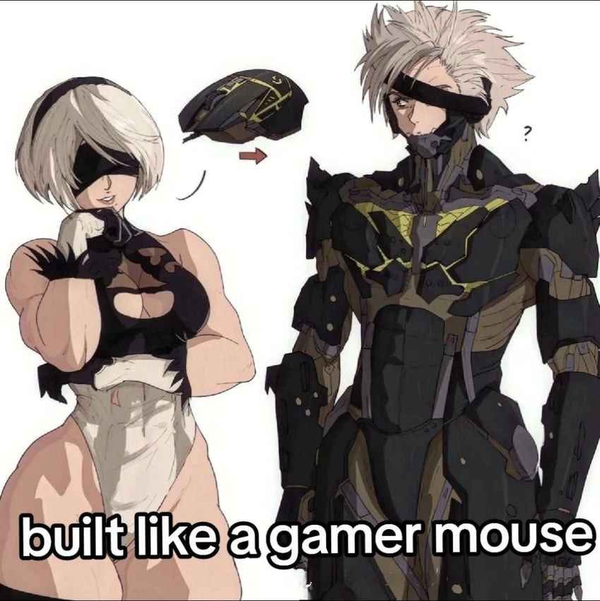 2b and raiden (nier and 4 more) drawn by yoracrab