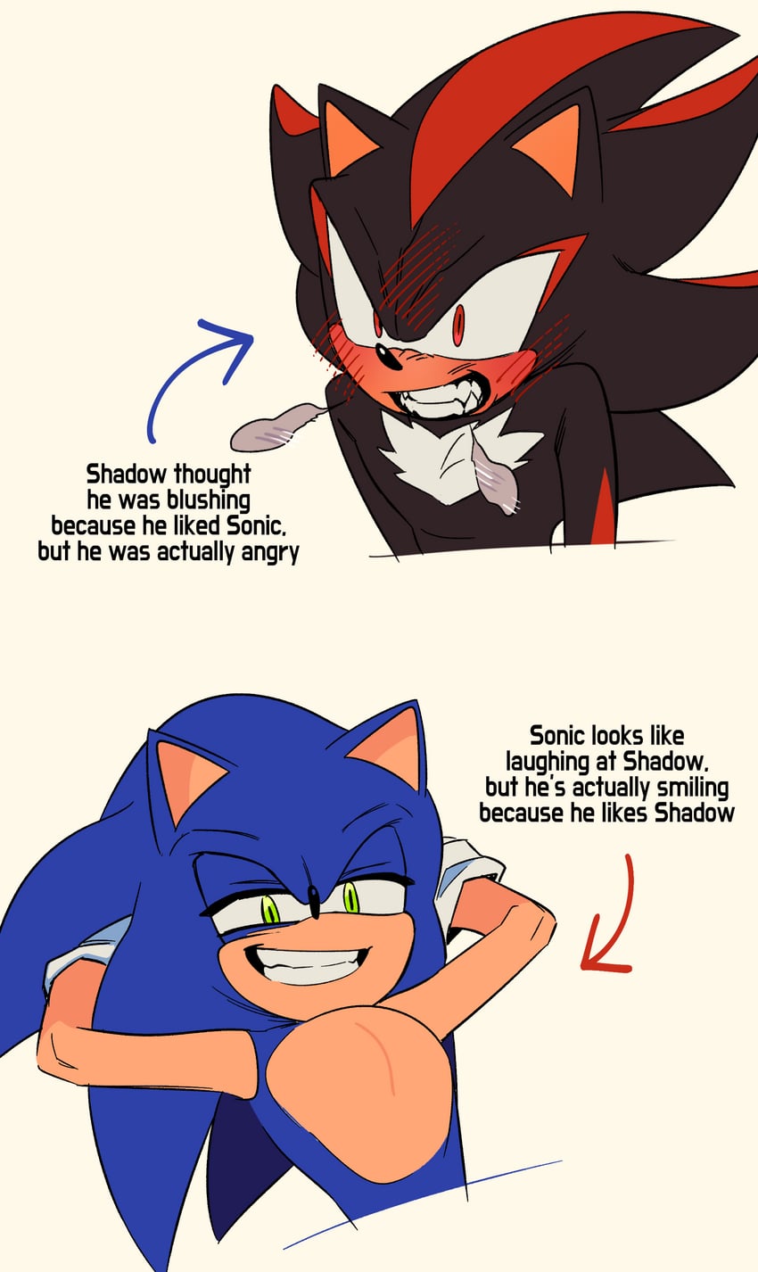 sonic the hedgehog and shadow the hedgehog (sonic) drawn by hyeon_sonic