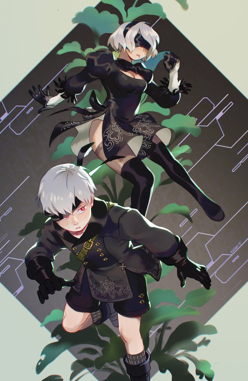 2b and 9s (nier and 1 more) drawn by chiou!