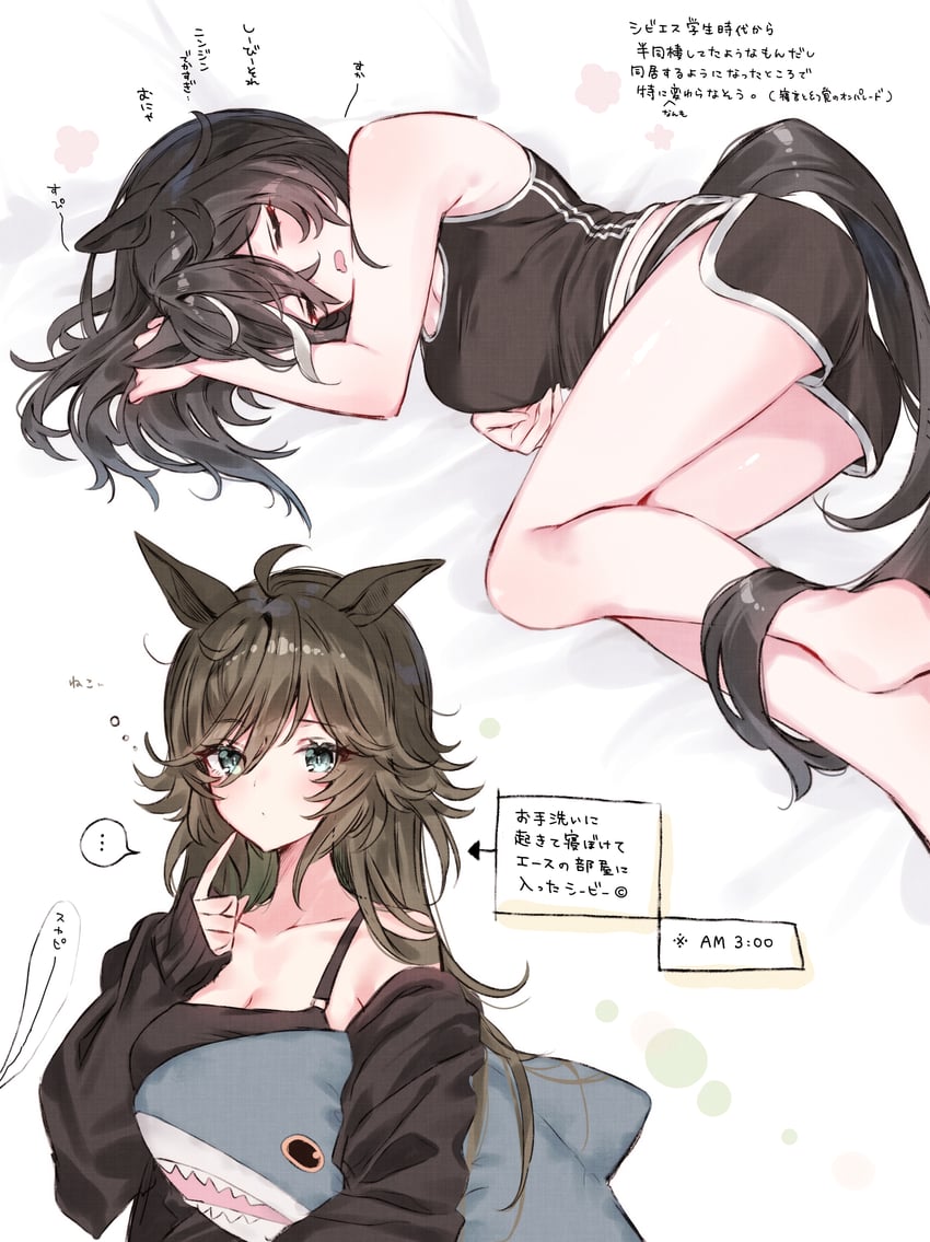 mr. c.b. and katsuragi ace (umamusume) drawn by tetora_(oudonoishiize)