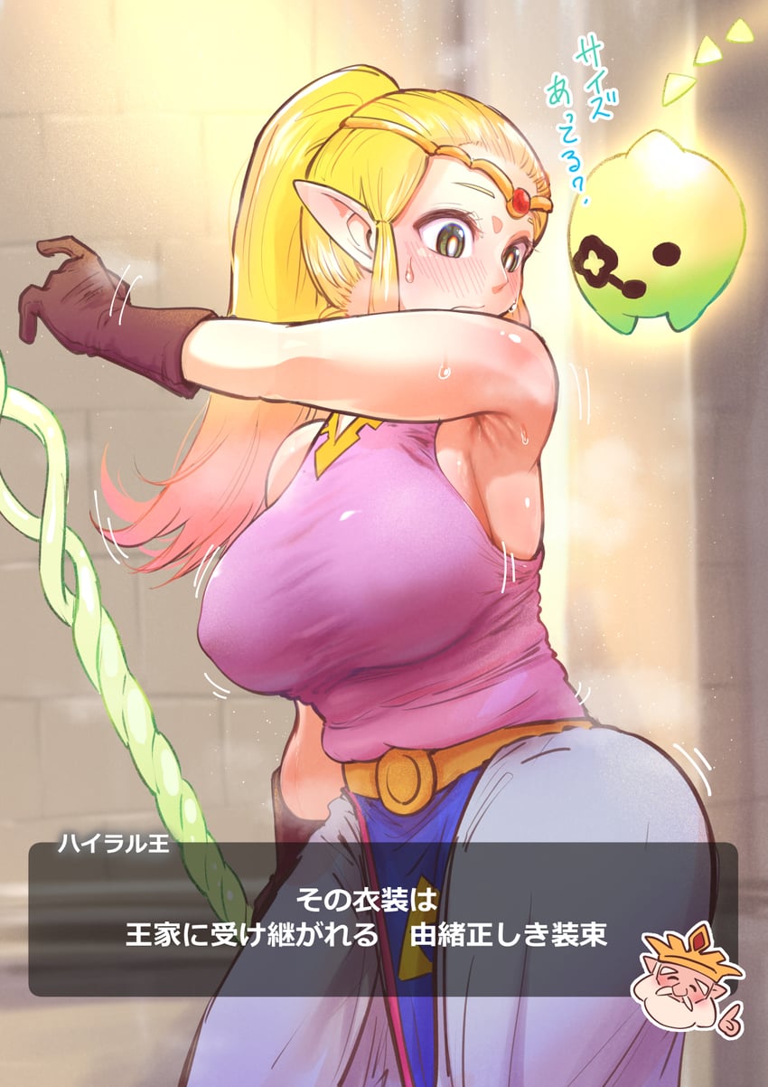 princess zelda and tri (the legend of zelda and 1 more) drawn by hhh-hudiki