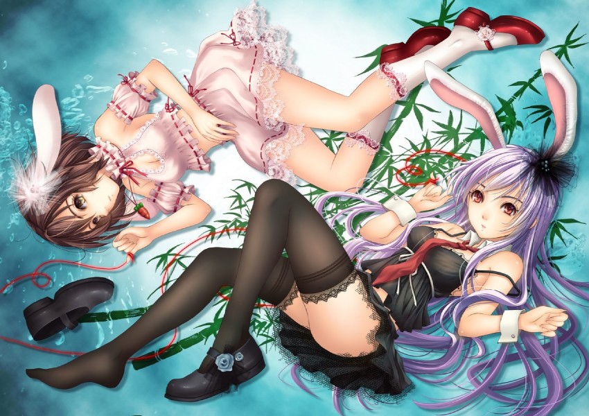 reisen udongein inaba and inaba tewi (touhou) drawn by tidsean
