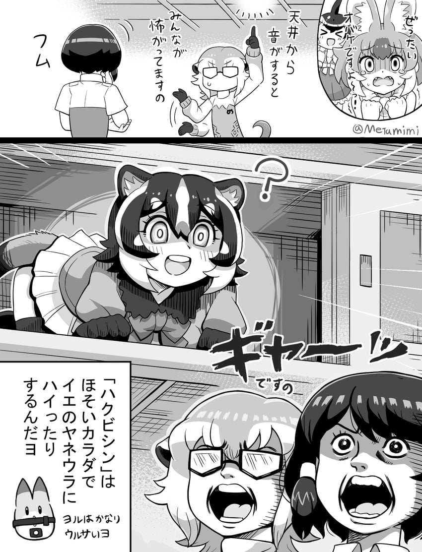 captain, dhole, common dolphin, meerkat, and masked palm civet (kemono friends and 1 more) drawn by metamimi