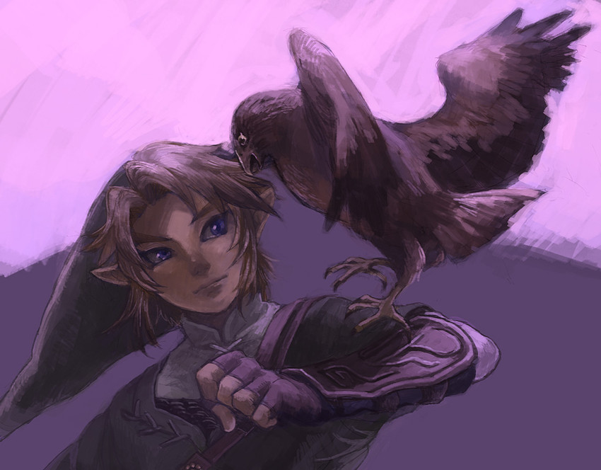link (the legend of zelda and 1 more) drawn by yo_mo