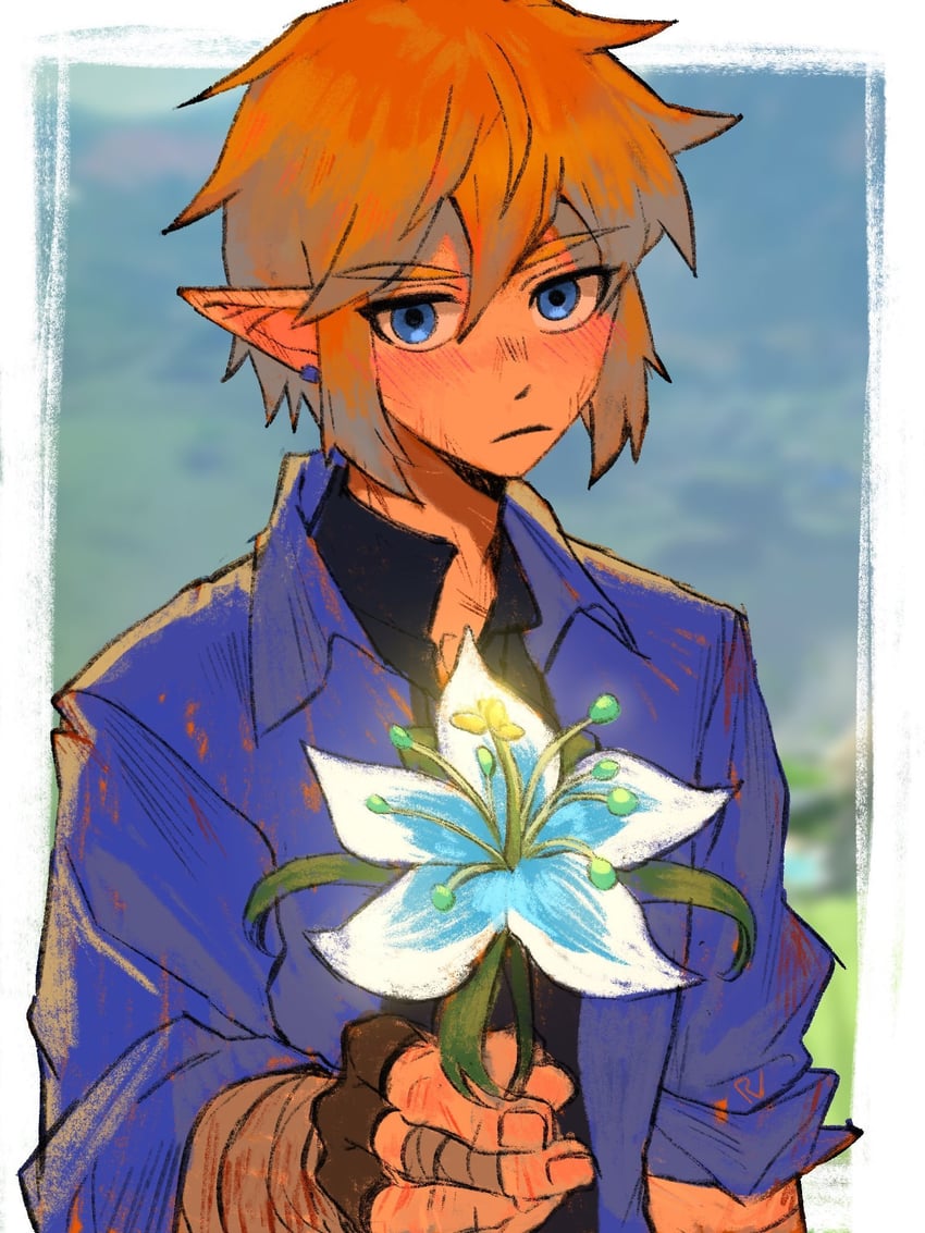 link (the legend of zelda and 1 more) drawn by rv_(gvdn7245)