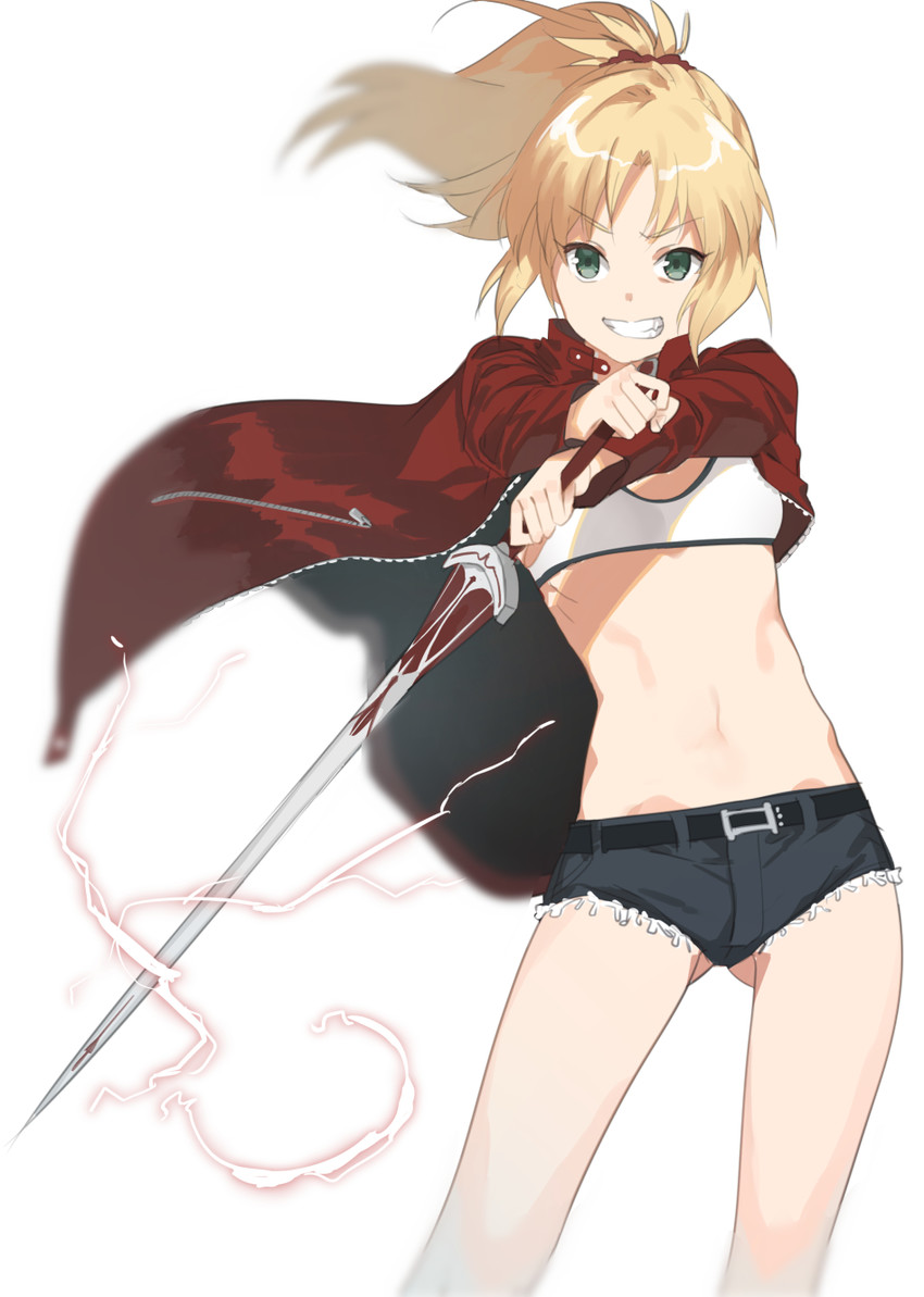 mordred (fate and 1 more) drawn by 2l_(2lsize)