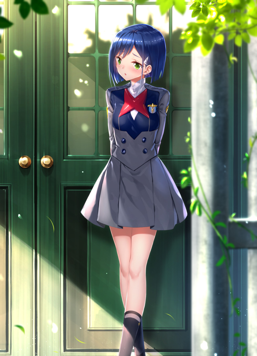 ichigo (darling in the franxx) drawn by swordsouls