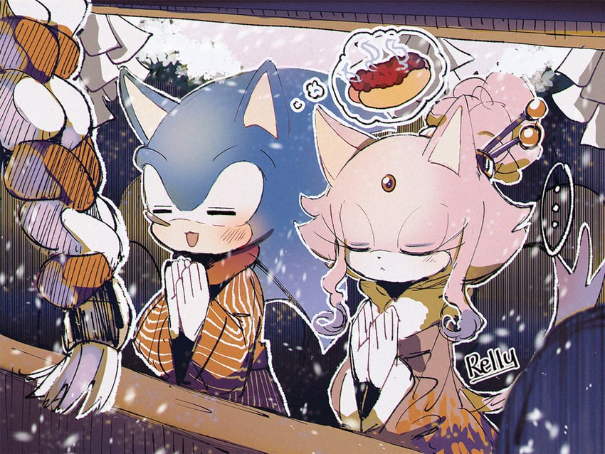 sonic the hedgehog and blaze the cat (sonic) drawn by rellyia