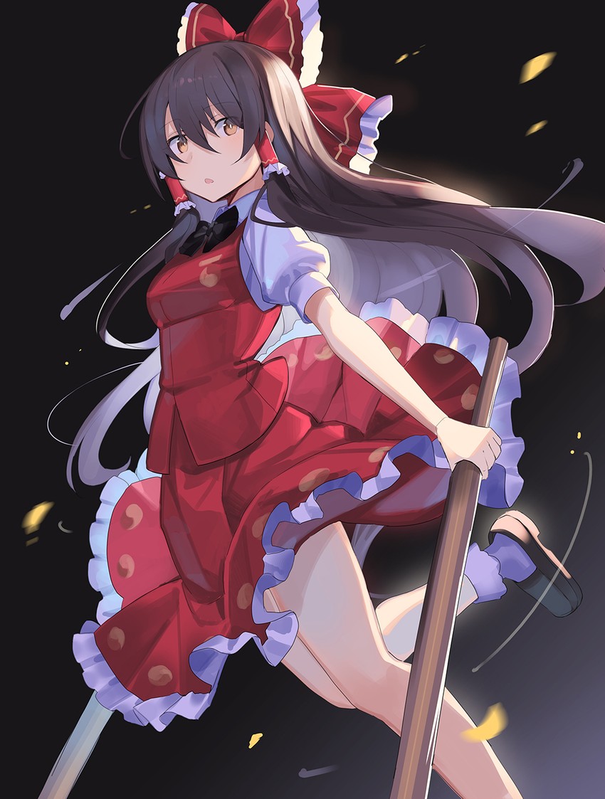 hakurei reimu and konpaku youmu (touhou) drawn by falken_(yutozin)