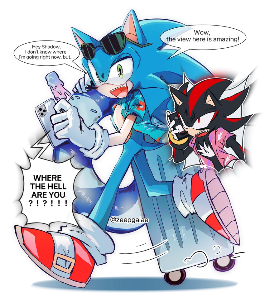 sonic the hedgehog and shadow the hedgehog (sonic and 1 more) drawn by shapam_(zeepgalae)
