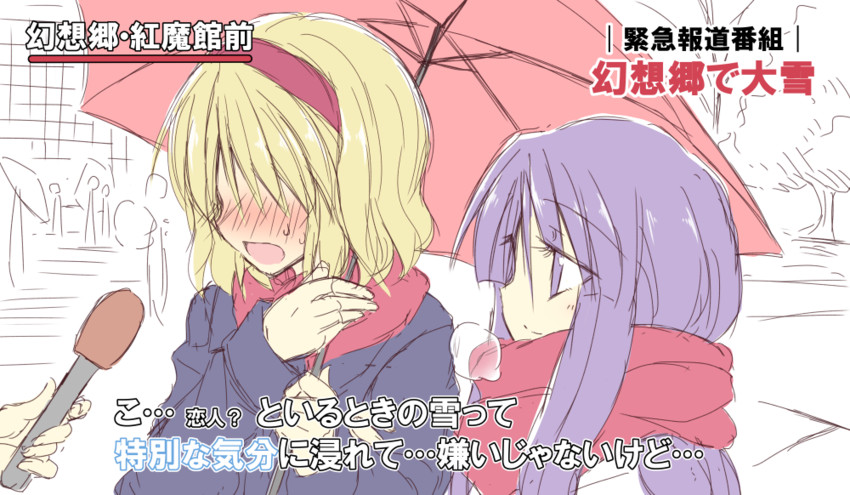 alice margatroid and patchouli knowledge (touhou) drawn by satou_kibi