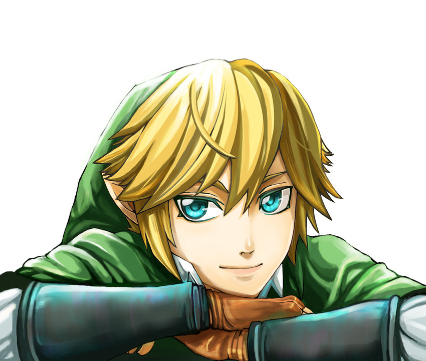 link (the legend of zelda and 1 more) drawn by wonomai