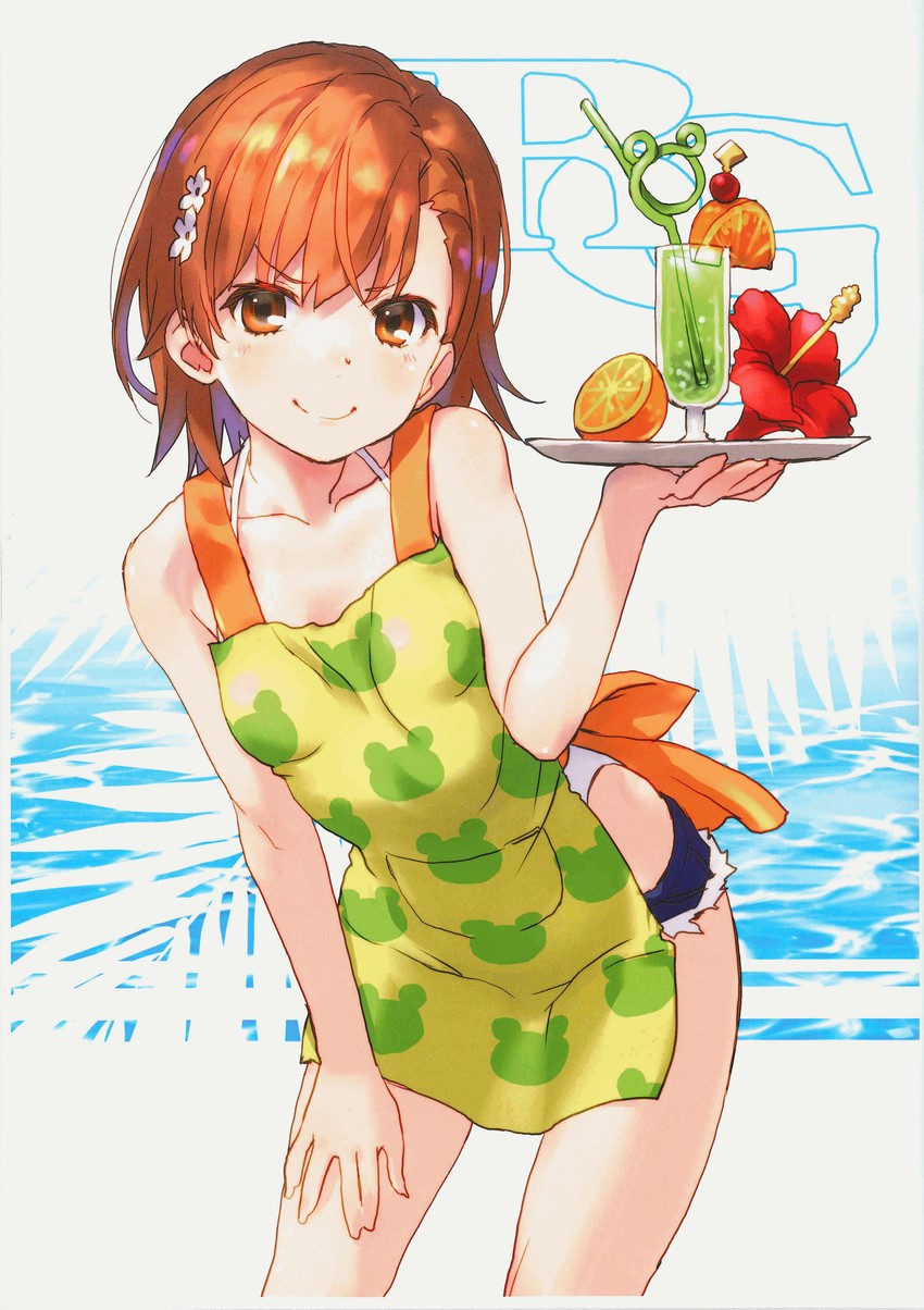 misaka mikoto and gekota (toaru majutsu no index and 1 more) drawn by raika9