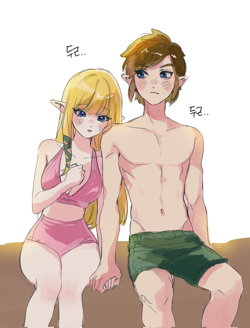 link and princess zelda (the legend of zelda and 1 more) drawn by didi_en_ilu