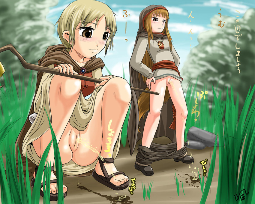 holo and nora arento (spice and wolf) drawn by homare_(suzu_no_oka)