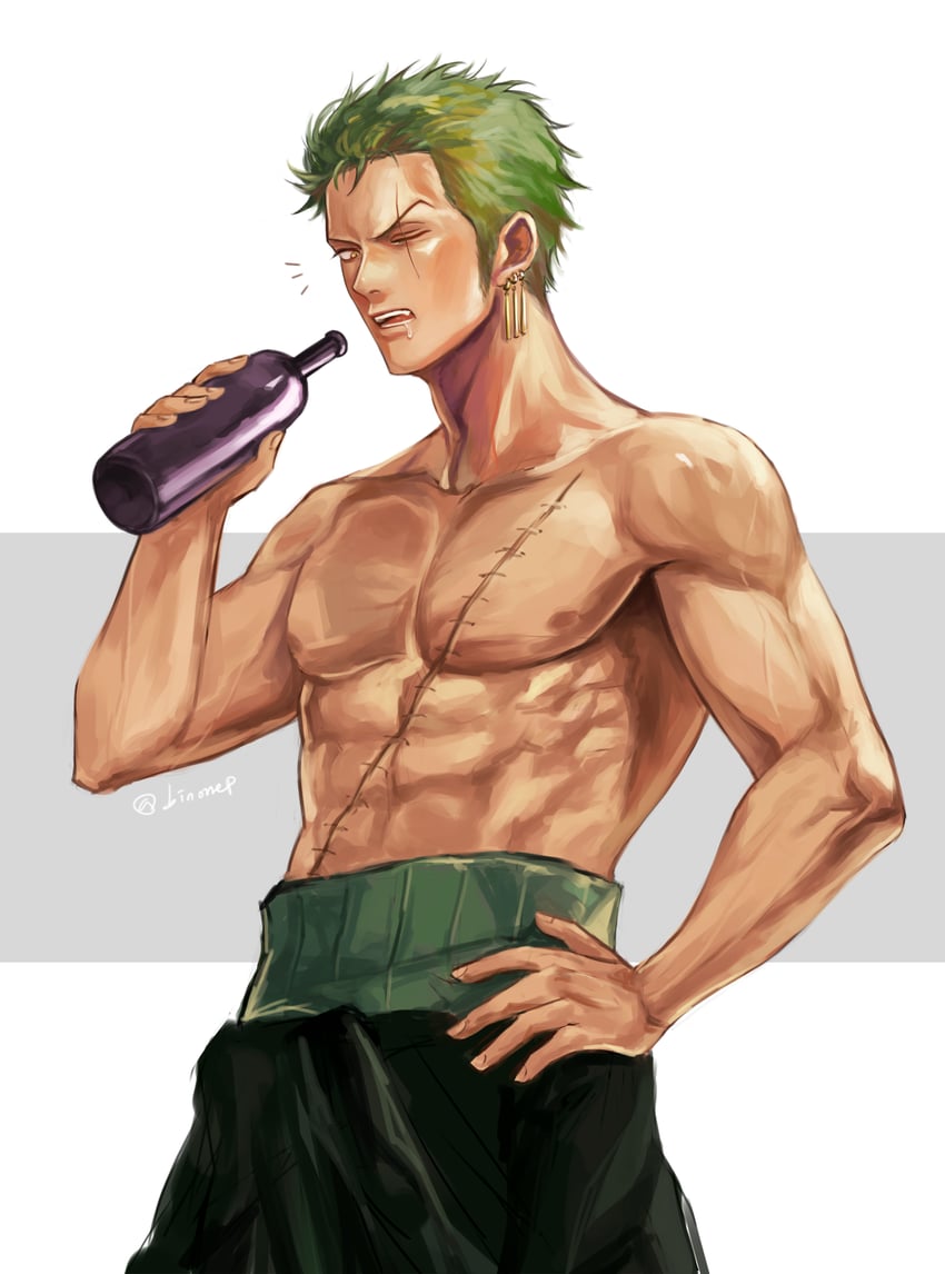 roronoa zoro (one piece) drawn by bin_(binonep)