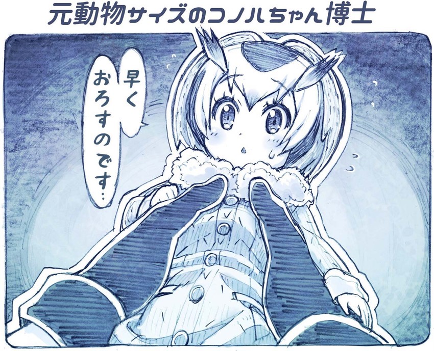 northern white-faced owl (kemono friends) drawn by sakino_shingetsu