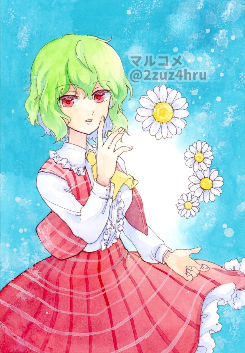 kazami yuuka (touhou) drawn by 2zuz4hru